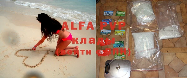 стаф Нея