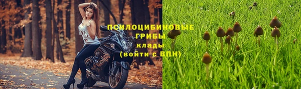 стаф Нея