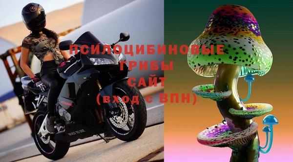 стаф Нея