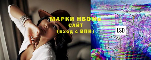 стаф Нея