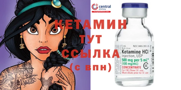 стаф Нея