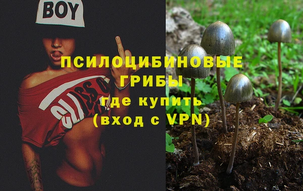ALPHA-PVP Нефтекумск