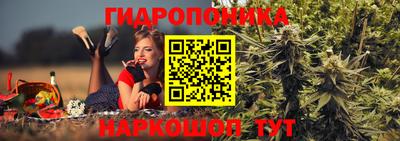 амф Аша