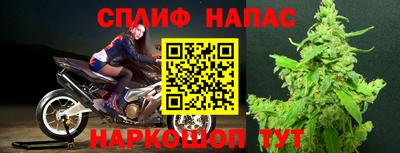 шишки Ачхой-Мартан