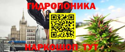 амф Аша