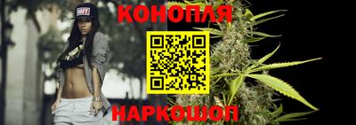 шишки Ачхой-Мартан