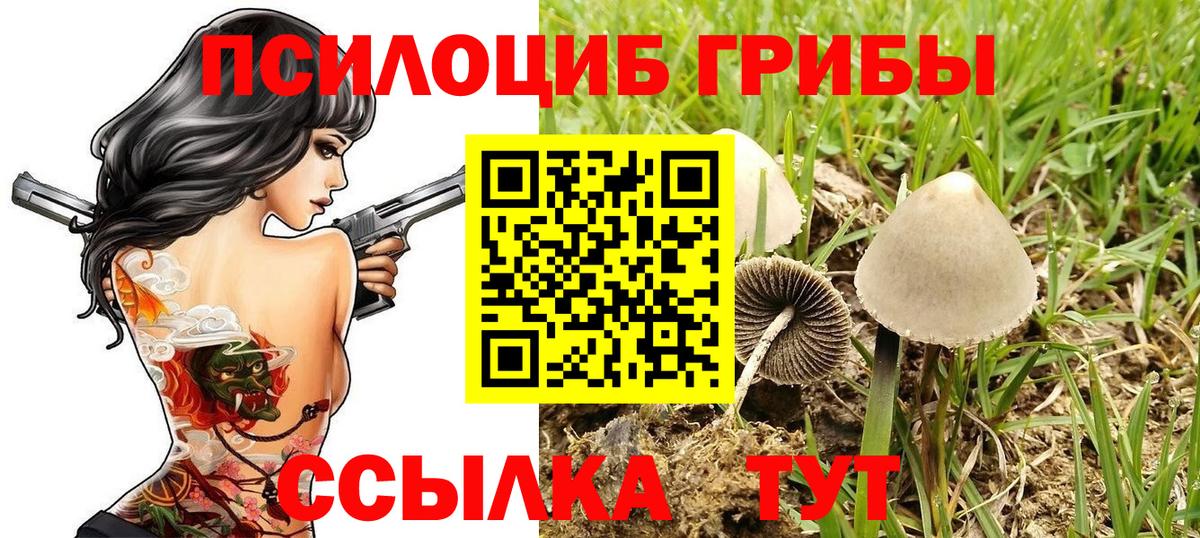 Северодвинск  Галлюциногенные грибы Magic Shrooms  Вход с VPN 