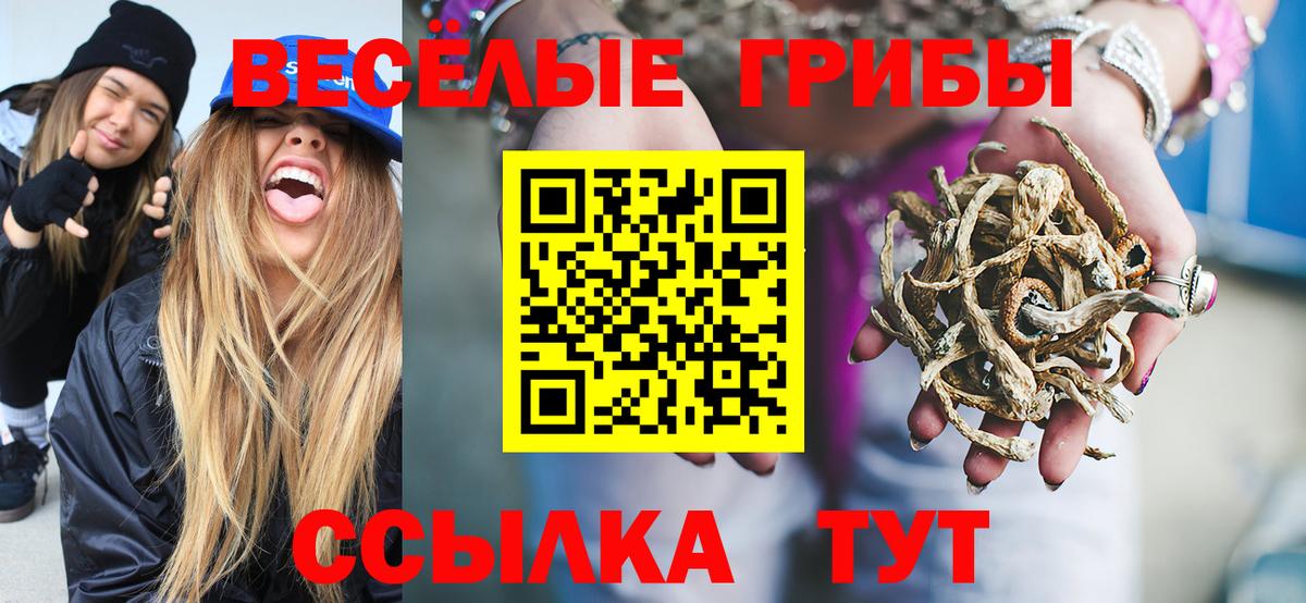 Галлюциногенные грибы Cubensis Северодвинск
